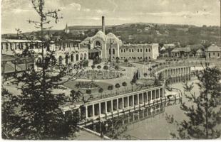 10 db RÉGI városképes lap Erdélyből / 10 pre-1945 town-view postcards from Transylvania (Historical ...