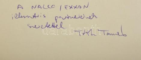 Tóth Tamás: Kraichgau (Párizsból, Párizsba). Bp., 1998, G+N Oktatási Kft. A szerző dedikációjával. P...