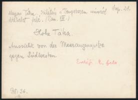 cca 1910  Magas-Tátra, kilátás a Tengerszem csúcsról délkelet felé, Erdélyi Mór felvétele, hátulján ...