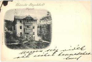 1899 Anina, Stájerlakanina, Steierdorf; Nyaraló. V. Rose kiadása / hotel villa