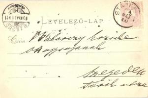 1899 Anina, Stájerlakanina, Steierdorf; Nyaraló. V. Rose kiadása / hotel villa