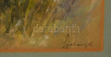 Sárkány Kálmán (1885-): Erdő részlet árokkal. Akvarell, papír, jelzett, üvegezett keretben, 35×23 cm