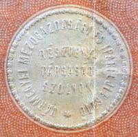 Budapest 1923. "Vármegyei Mezőgazdasági- és Iparfejlesztő Részvénytársaság" 25 részvénye e...