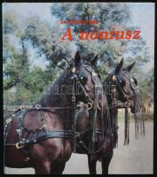 Vegyes könyvtétel, lovakról, 2 db: Dr. Ócsag Imre: A nóniusz. Bp., 1984, Mezőgazdasági. Kiadói kartonált papírkötés, fekete-fehér fotókkal, melléklettel.  A lovak tartása. Székesfehérvár, 1992, Lapu Bt. Kiadói tűzött papírkötés. Reprint kiadás.