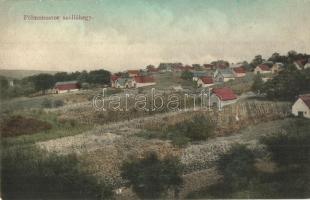 Pélmonostor, Beli Manastir; Szőlőhegy / vineyard