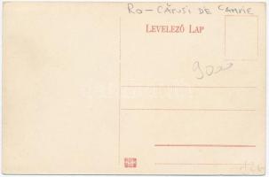 Mezőkapus, Capusu de Campie; Sándor kúria, Székely kapu / gate, castle