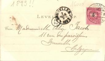 1893 (Vorläufer!!!) Budapest, Gellérthegy, Buda, Margit-fürdő, Ottmar Zieher, floral, litho