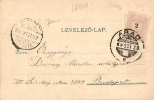 1899 Arad, Hermann palota, Vojtek és Weisz, Hoffmann Antal, Kneffel Károly és fia üzletei, Lengyel L...