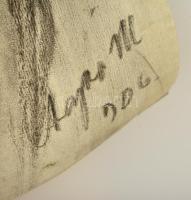 Csapó Márton (1889-?): Női portré, szén, papír, jelzett, szélein sérülésekkel, 53,5×40 cm