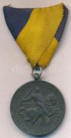 1941. "Délvidéki Emlékérem" cink emlékérem mellszalaggal, cserélt kontraszemmel. Szign.: BERÁN L. T:2 Hungary 1941. "Commemorative Medal for the Return of Southern Hungary" zinc medal ribbon, with not original suspension ring Sign.:BERÁN L. C:XF  NMK 429.