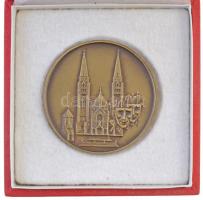 DN "Szeged" kétoldalas Br emlékérem, eredeti tokban (60mm) T:2