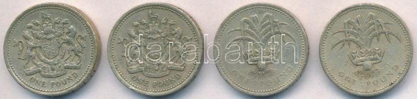 Nagy-Britannia 1983-1985. 1Ł (4x) T:2,2- ph.
Great Britain 1983-1985. 1 Pound (4x) C:XF,VF edge err...