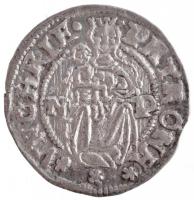 Erdély 1556. Denar Ag János Zsigmond (0,44g) T:2  Transylvania 1556. Denar Ag John Sigismund Zápolya (0,44g) C:XF  Huszár 23., Unger (Erdély) 16.