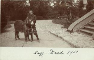 1901 Dádpuszta, Nagy-Daad (Ozora); kastély, fiú szamárral, photo