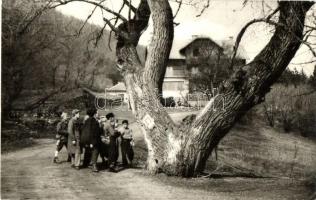 6 db RÉGI képeslap: turistaházak, menedékházak (Dobogókő, Nagyvillám, Pilis, Gézaháza, Királyháza, Sopron), köztük egy fotó / 6 pre-1945 postcards with mountain chalets, cottages; among them 1 photo