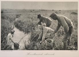 1915-1916 Az Érdekes Ujság 4 db háborús albuma, összesen 47 db képpel, 5., 6.,7.,9. füzetek, Szerk. ...