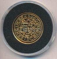 DN "Magyar aranypénzek utánveretben - I. Nagy Lajos aranyforint" aranyozott Ag emlékérem t...