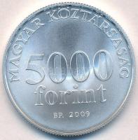 2009. 5000Ft Ag "Radnóti Miklós" tanúsítvánnyal T:BU
Adamo EM220