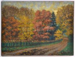 Joachim Ferenc (1882-1964): Arborétum. Olaj, karton, jelzett, 60×80 cm