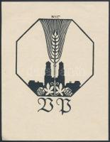 Hubert Wilm (1887-1953): Ex libris BB. Klisé, papír, jelzett a klisén, 9×7 cm