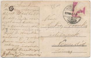 Balatonfüred, Korcsolya és fakutyázás a Balatonon  télen (fa)