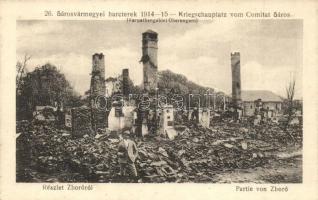 Zboró, Zborov; Romok, 26. Sárosvármegyei harcterek 1914-15 / ruins (EK)