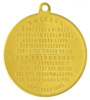 1903. "Ferenc József / Hadgyakorlat emlékérem" aranyozott Br emlékérem. "FERENCZ JÓZS...