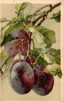 60 db főleg RÉGI gyümölcsös csendélet művészlap / 60 mostly pre-1945 fruit still life art postcard