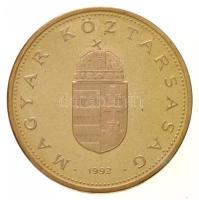 1992. 100Ft Cu-Ni-Zn próbaveret T:1(PP) / Hungary 1992. 100 Forint Cu-Ni-Zn trial strike C:UNC(PP) Adamo F12