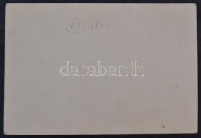 1939. Igazolvány a Felvidék visszacsatolásának emlékére alapított emlékérem viselésének jogosultságá...