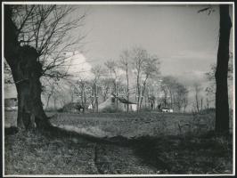 1958 Dezső Pál (?-?): Tavasz a pusztán, feliratozott vintage fotóművészeti alkotás, 17,5x23 cm