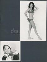 cca 1972 Manöken- és modellnyilvántartás egy kartonja, 2 db vintage fotó, 8x8 cm és 17x11 cm