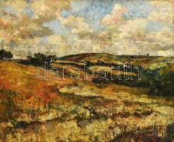 Kotász Károly (1872-1941): Domboldal. Olaj, karton, jelzett, keretben, 40×50 cm