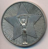 1953. "Felszabadulási Emlékverseny Budapest - Országos Testnevelési és Sportbizottság" ezü...