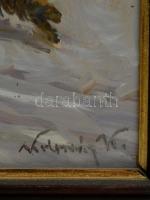 Kolozsváry Kamilló (1936 - 2008): Téli lovasszán. Olaj, farost, jelzett, keretben, 34×42 cm