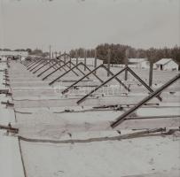 cca 1969 Állattartó csarnok építése, 13 db vintage negatív Sinka Antal (?-?) hagyatékából, aki a velencei AGROKOMPLEX fotósa volt az 1960-as, 1970-es években (ahol tervezték, kivitelezték ezeket a csarnokokat), 6x6 cm