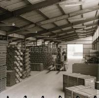 cca 1969 Állattartó csarnok építése, 13 db vintage negatív Sinka Antal (?-?) hagyatékából, aki a vel...