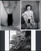 cca 1979 Egy csokor százszorszép, 13 db szolidan erotikus fotó, vintage negatívokról készült mai nag...