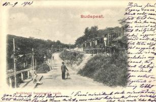 1901 Budapest XII. Svábhegy, Fogaskerekű vasút gőzmozdonnyal, úr esernyővel