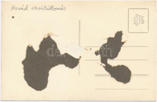 Acsád, vasútállomás vasutasokkal, csoportkép, photo (Rb)