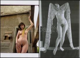 cca 1974 Csajos tétel, 4 db szolidan erotikus fotó, vintage negatívokról készült mai nagyítások, 25x...