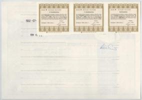 Budapest 1992. "Aranypók Kereskedelmi Részvénytársaság" egy darab névre szóló részvénye 10...