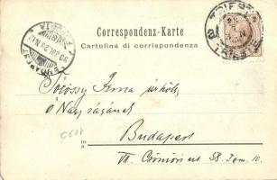 1899 Trieste, Miramar, Sala da pranzo / castle, dining room, interior (EK)