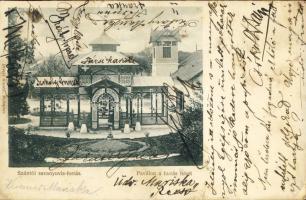 Hont-Szántó savanyúvíz forrás (EB)