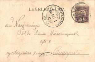 Pozsony, Pressburg, Bratislava; Vaskutacska, Bimbóház, Mária Terézia szobor. Lóherés művészlap / Eis...