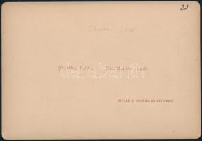 cca 1880-1890 Bártfa-fürdő, zborói vár, keményhátú fotó Divald Károly műterméből, hátulján feliratoz...