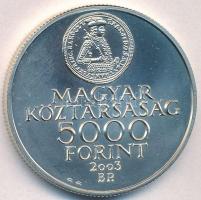 2003. 5000Ft Ag "Rákóczi szabadságharc 300. évfordulója" T:BU apró karcok
Adamo EM186