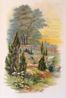 Tompa Mihály: Virágregék. Illusztrálta Demeczkyné Volf Irma.Bp., é.n. (1894), Franklin-Társulat, 1 t...