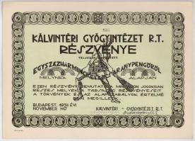 Budapest 1934. "Kálvintéri Gyógyintézet R.T." részvénye 132P-ről, szelvényekkel T:I-