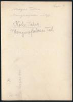 cca 1910 Magas-Tátra, Menguszfalvi völgy, hátulján feliratozva, kis szakadással, 11,5x16 cm / Vysoké...